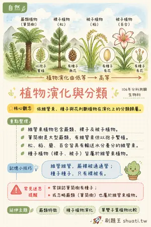 AI 記憶小卡