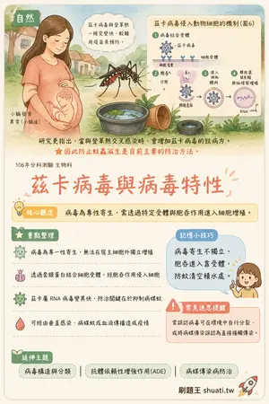 AI 記憶小卡