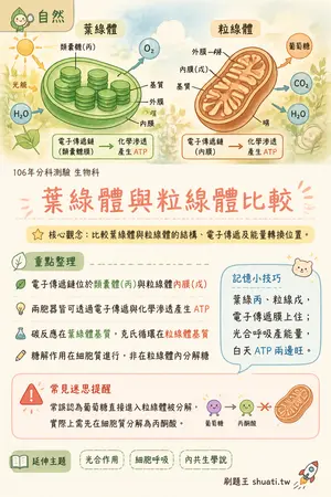 AI 記憶小卡
