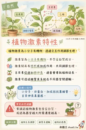 AI 記憶小卡