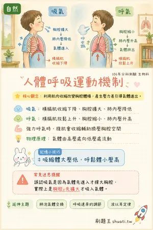 AI 記憶小卡