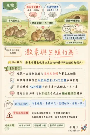 AI 記憶小卡