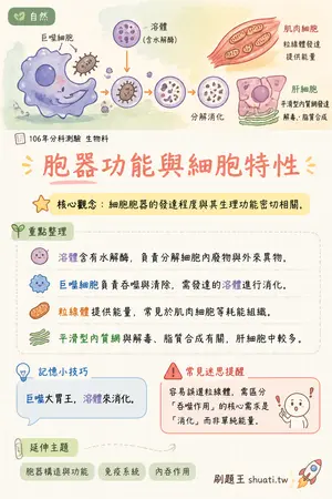 AI 記憶小卡