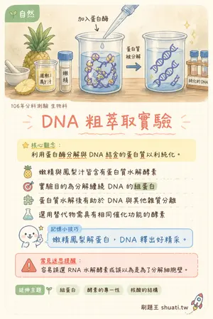 AI 記憶小卡