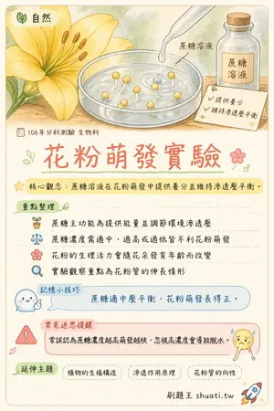 AI 記憶小卡
