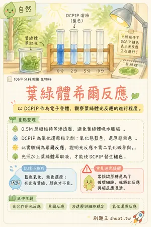 AI 記憶小卡