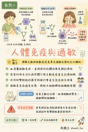 AI 記憶小卡