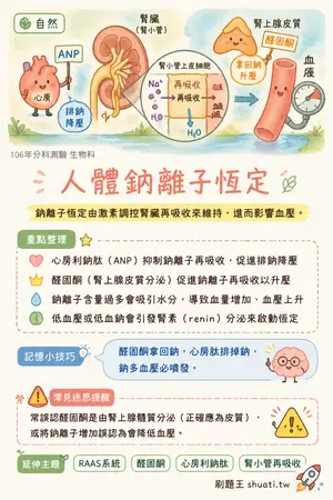 AI 記憶小卡