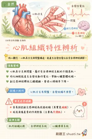 AI 記憶小卡