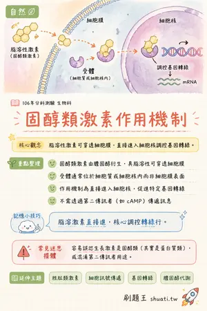 AI 記憶小卡