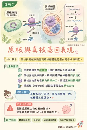 AI 記憶小卡