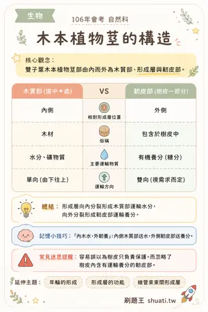 AI 記憶小卡