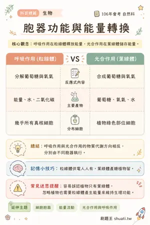 AI 記憶小卡
