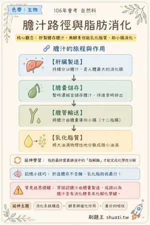 AI 記憶小卡