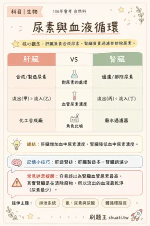 AI 記憶小卡