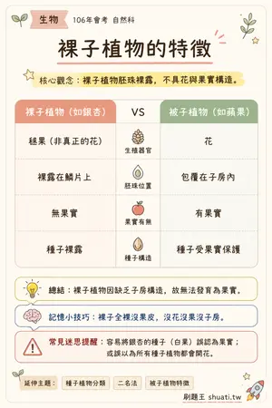 AI 記憶小卡