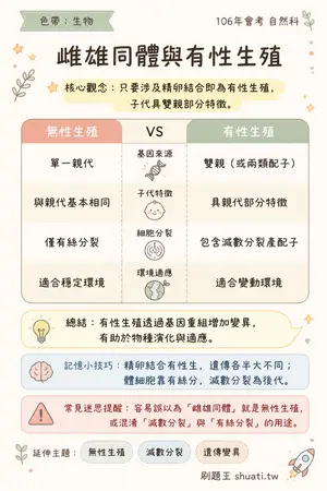AI 記憶小卡