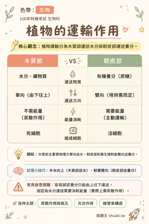 AI 記憶小卡