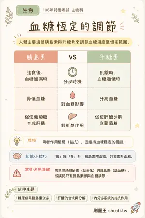 AI 記憶小卡