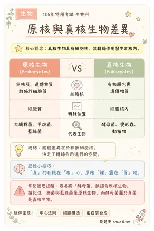 AI 記憶小卡