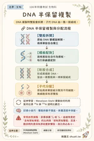 AI 記憶小卡