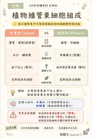 AI 記憶小卡