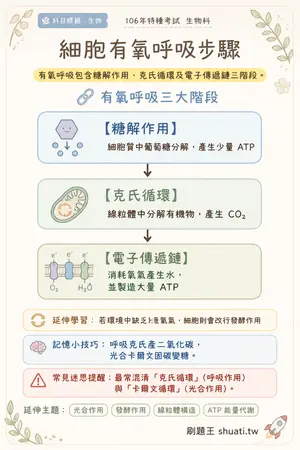 AI 記憶小卡