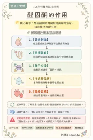 AI 記憶小卡
