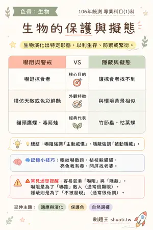 AI 記憶小卡