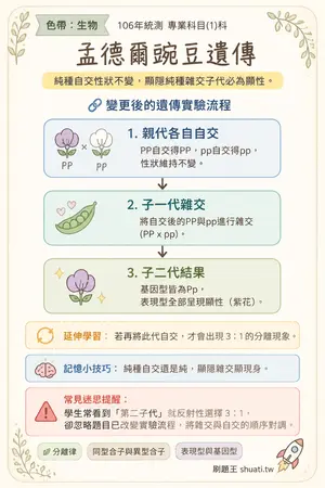 AI 記憶小卡