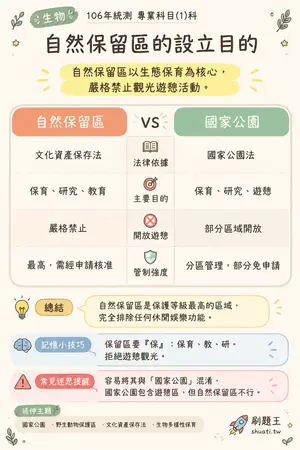 AI 記憶小卡