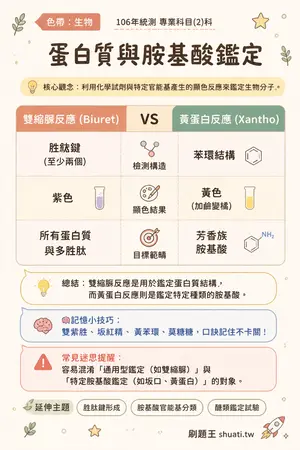 AI 記憶小卡