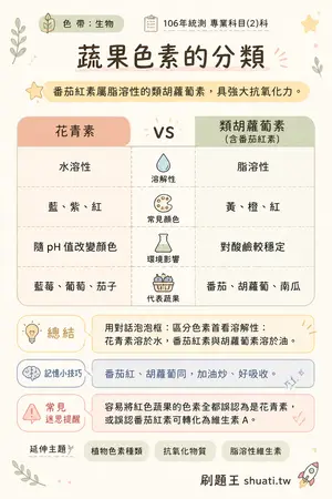 AI 記憶小卡