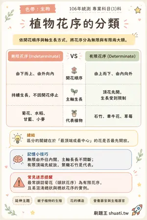 AI 記憶小卡
