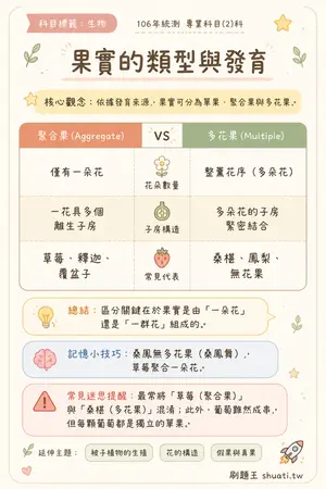 AI 記憶小卡