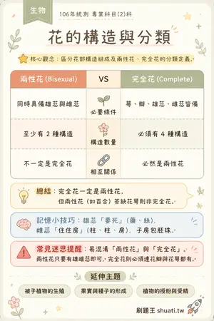 AI 記憶小卡