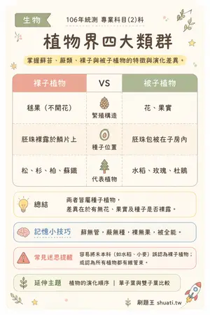 AI 記憶小卡
