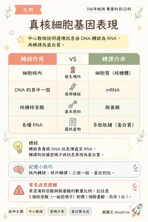 AI 記憶小卡