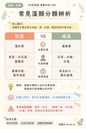 AI 記憶小卡