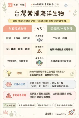 AI 記憶小卡