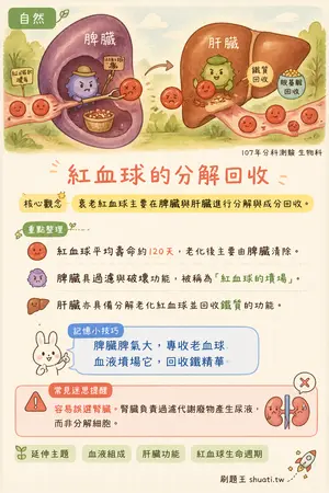 AI 記憶小卡