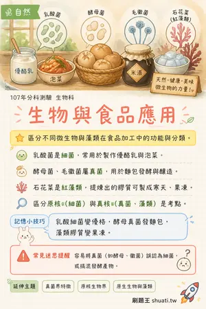 AI 記憶小卡