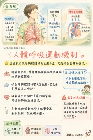 AI 記憶小卡