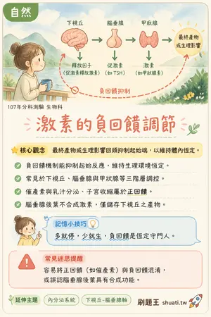 AI 記憶小卡