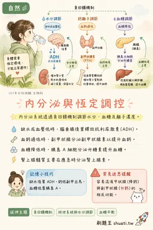AI 記憶小卡