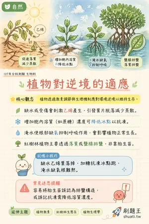 AI 記憶小卡