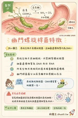AI 記憶小卡