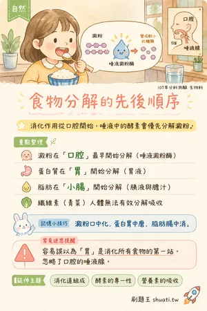 AI 記憶小卡