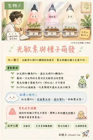 AI 記憶小卡