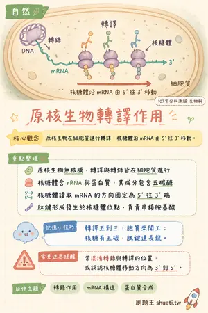 AI 記憶小卡